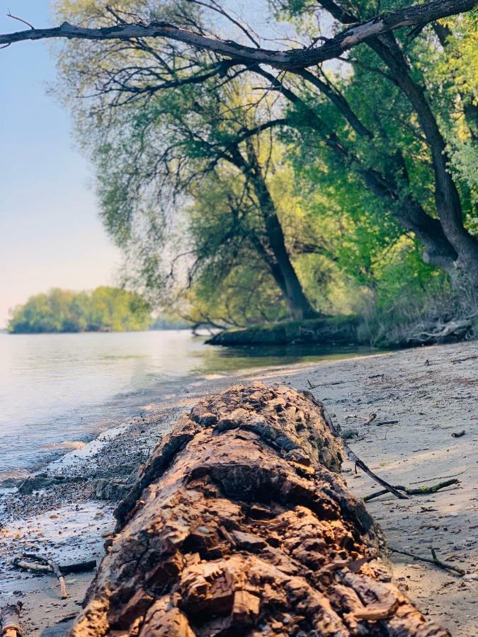 Nadi'S Holiday Home - Heart Of Woods, Szentendre Island Сигетмоноштор Экстерьер фото
