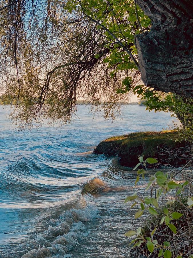Nadi'S Holiday Home - Heart Of Woods, Szentendre Island Сигетмоноштор Экстерьер фото